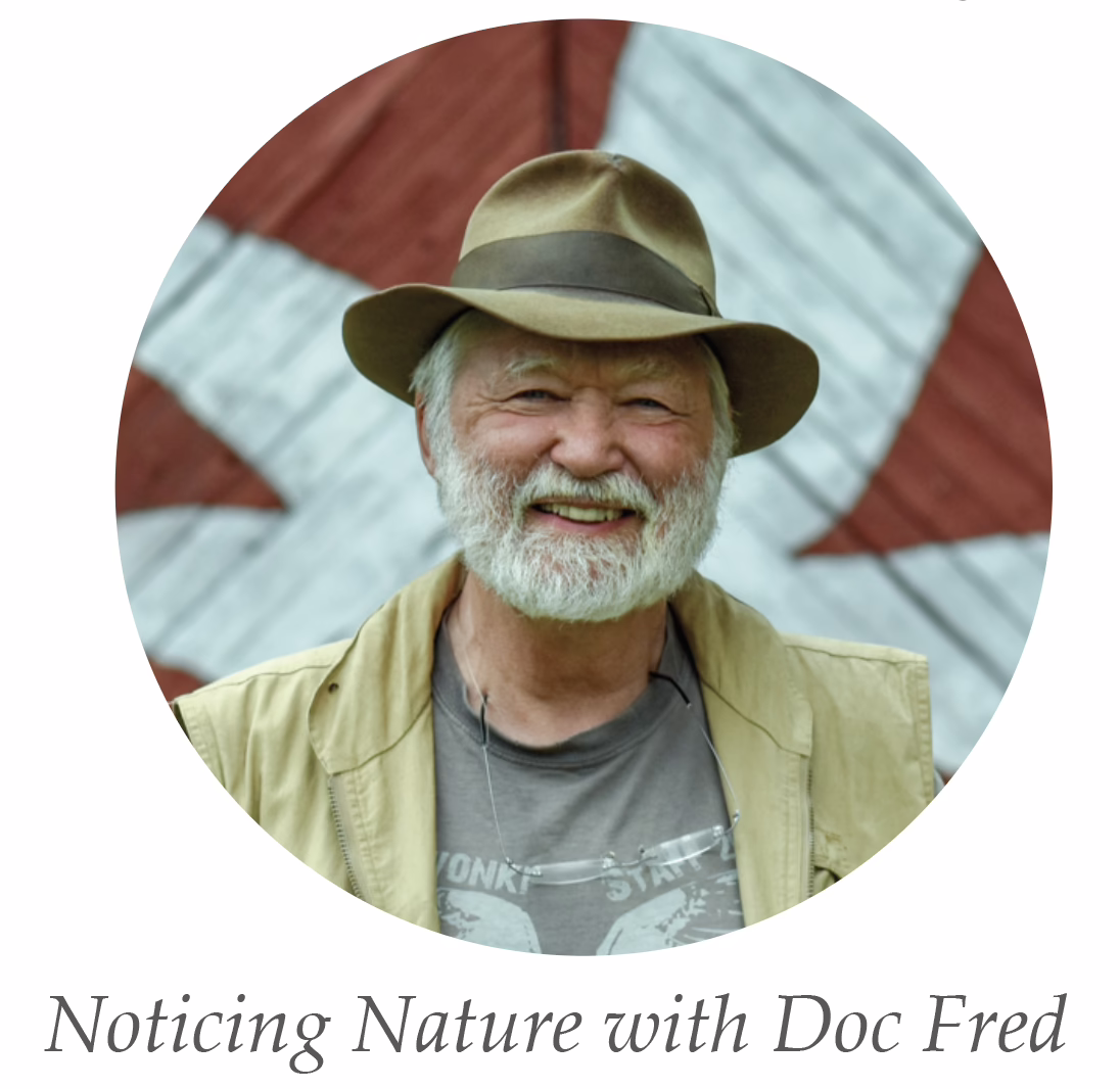 Noticing Nature with Doc Fred